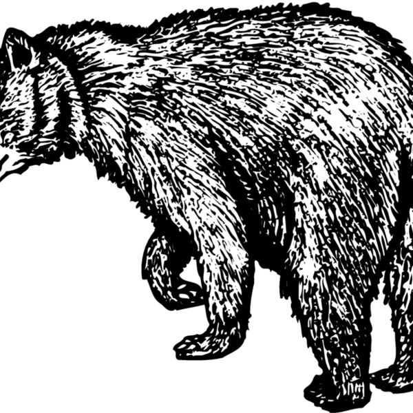 BEAR011 Thumbnail