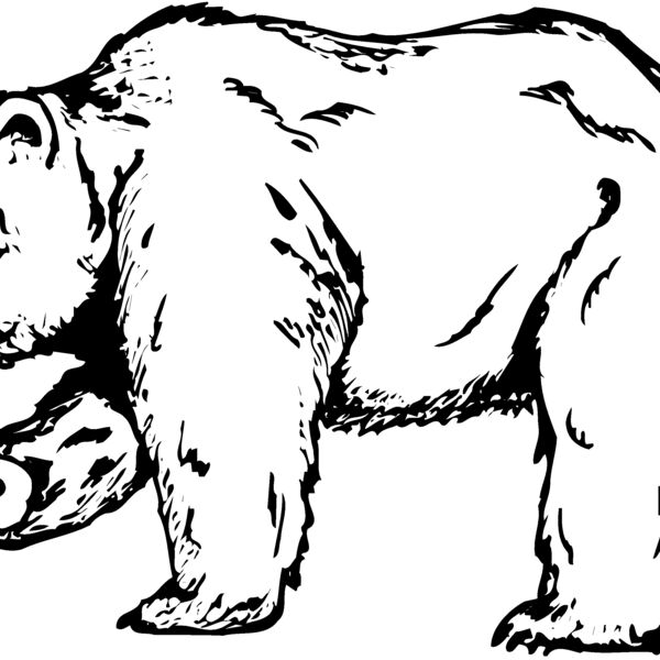BEAR012 Thumbnail