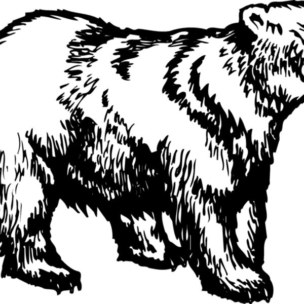 BEAR018 Thumbnail