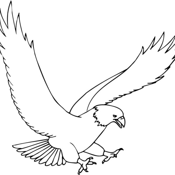 EAGLE43 Thumbnail