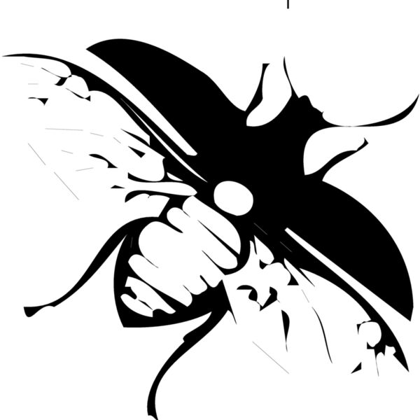 FLY03 Thumbnail