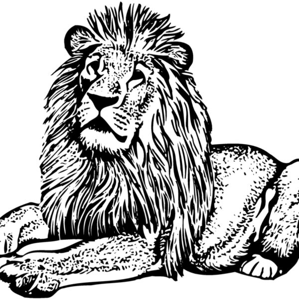 LION004 Thumbnail