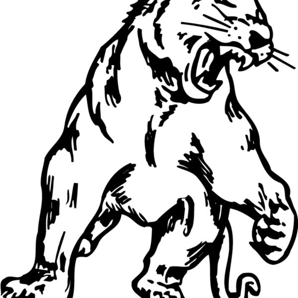 PANTHER1 Thumbnail