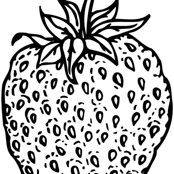 FRUIT009 Thumbnail