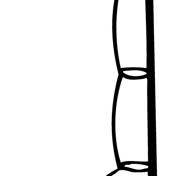FISHNG01 Thumbnail