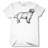 Men's Tshirt Thumbnail